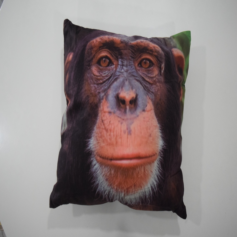 Limbani Pillow